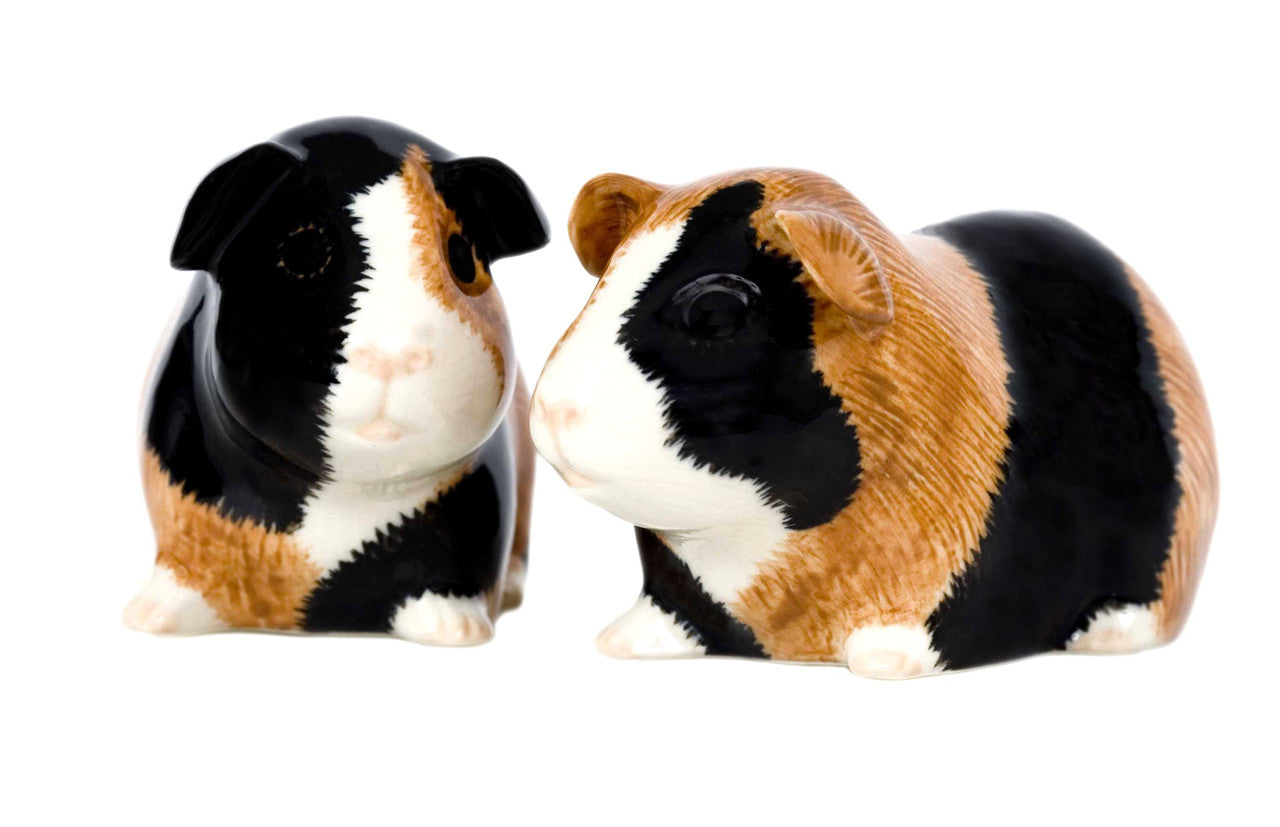 Quail Keramik Meerschweinchen Salz & Pfefferstreuer