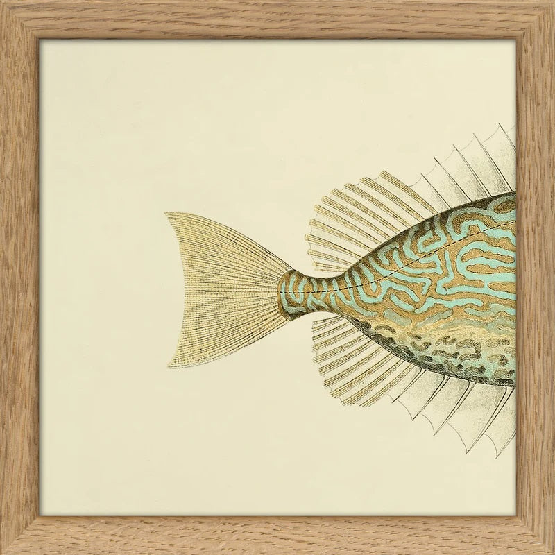 Dyb. 1/2 Flosse Hellblauhellbeige