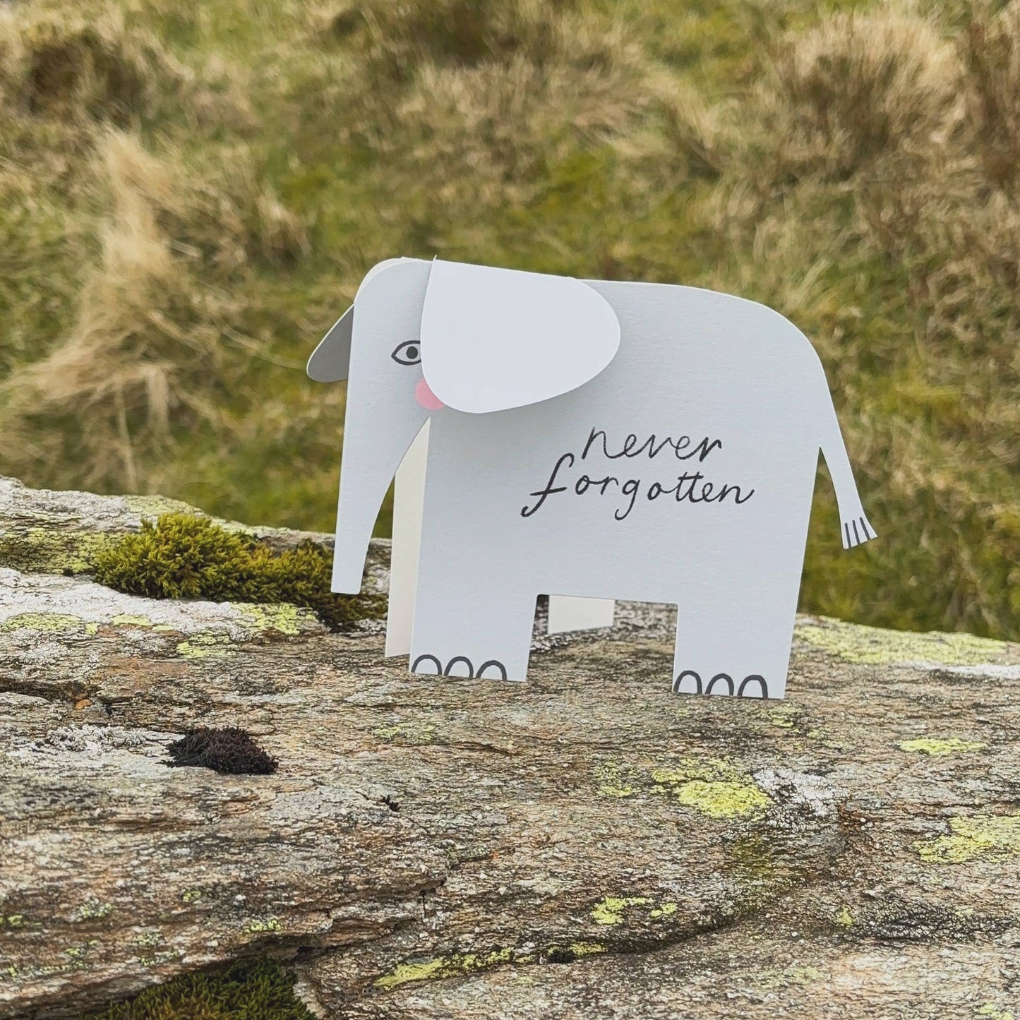 Kitty Kenda Papergoods - Gestreifter Elefant A6 Stehende Luxus-Ökokarte