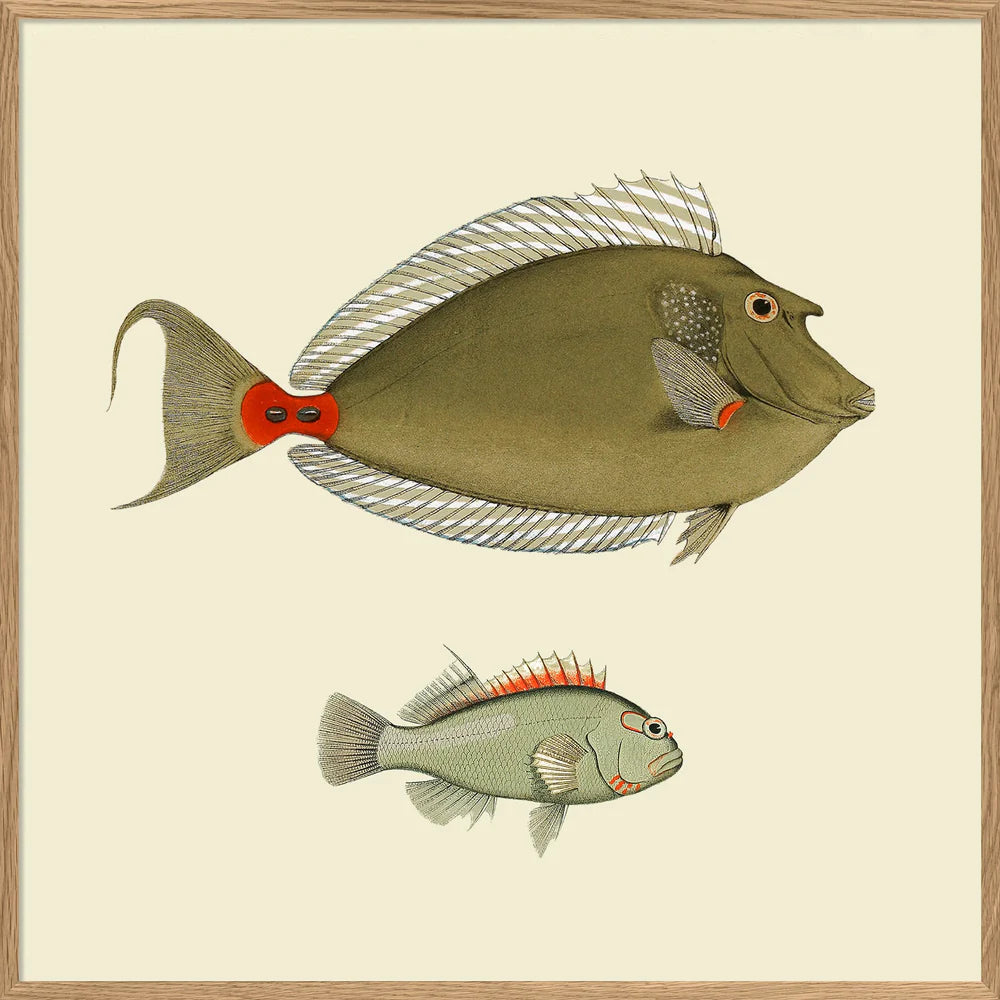 Dyb. Fisch "Two Green Fish"