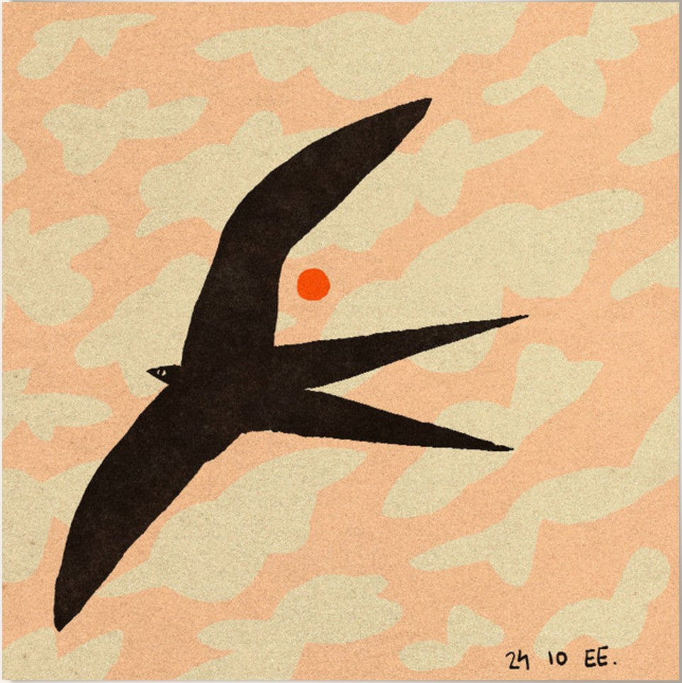 PSTR - Enikö Eged "Swalow bird in the golden hour"