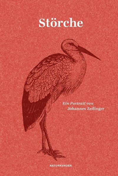 Buch "Störche" von Johannes Zeilinger