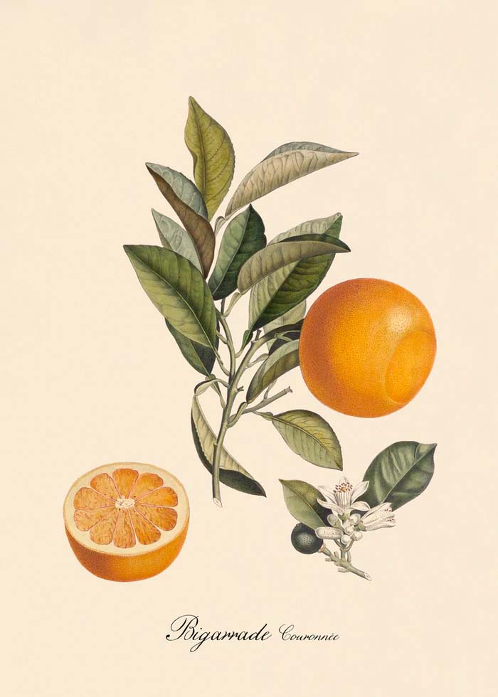 Dyb. Orange 30 x 40