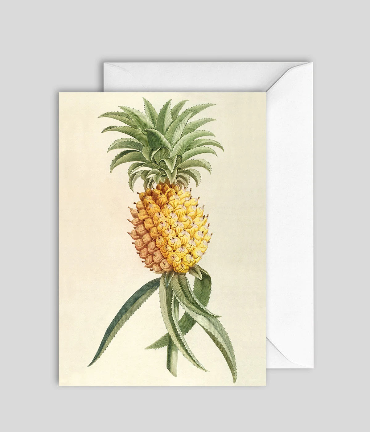 Dyb. Karte Ananas