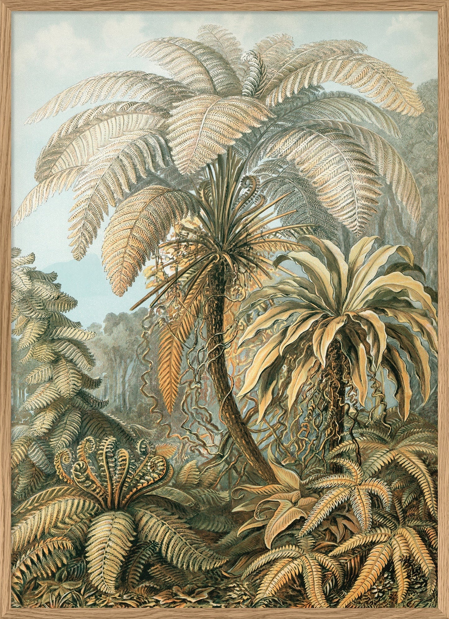 Dyb. Palme monochrom 50 x 70