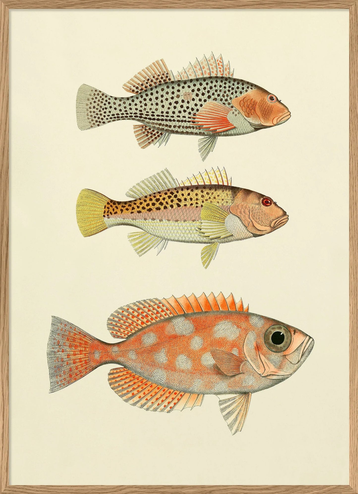 Dybdahl 3 Fische orange "The fishes"