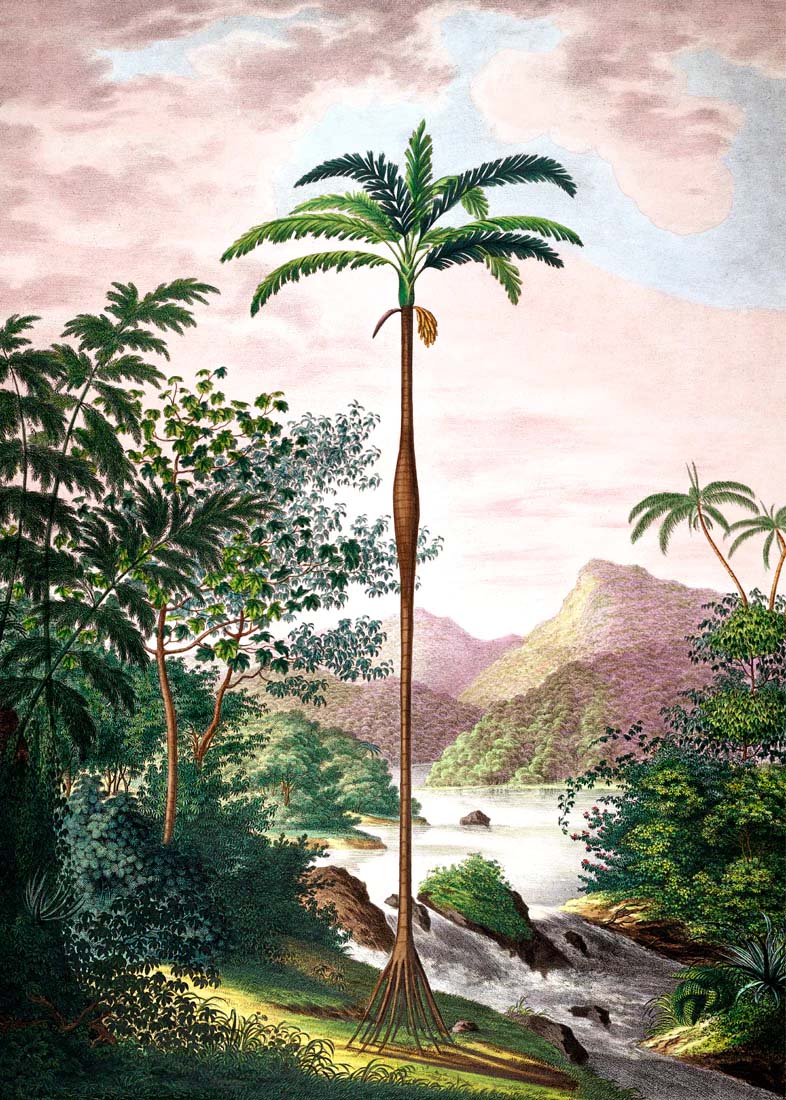 Dyb. Jungle Scenery