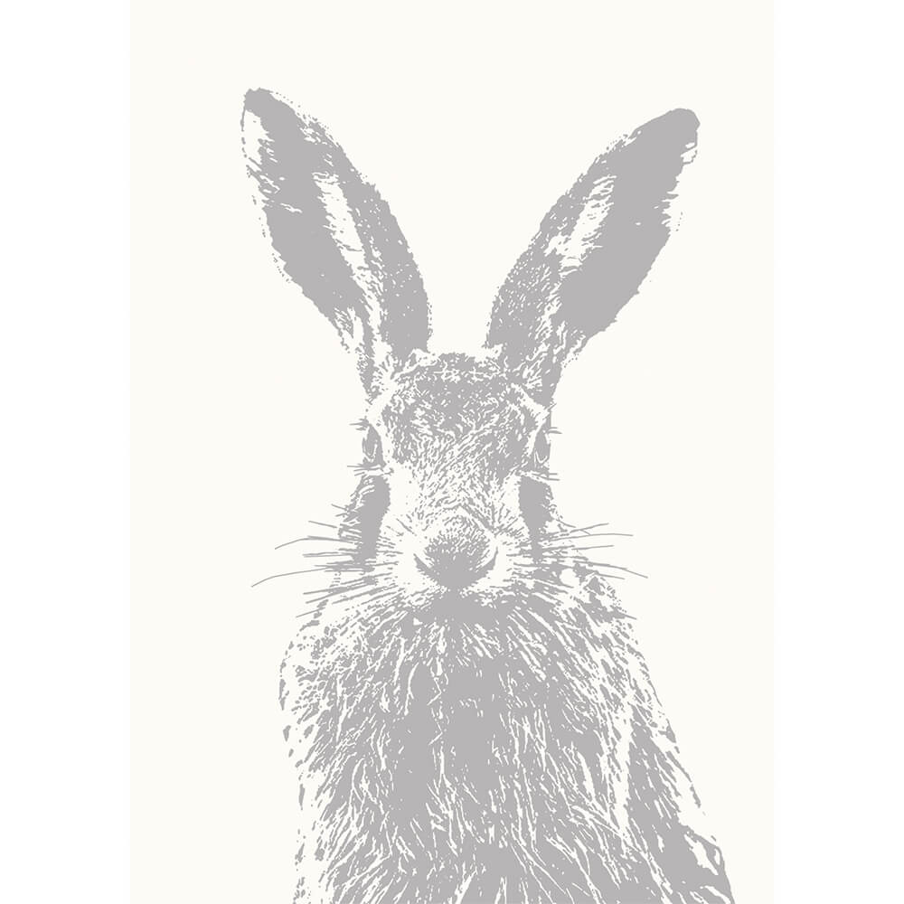 Froh. Karte Hase grau