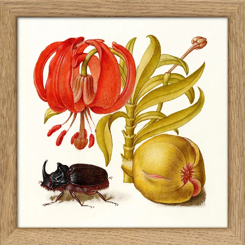 Dyb. Käfer & Pflanze 30x30