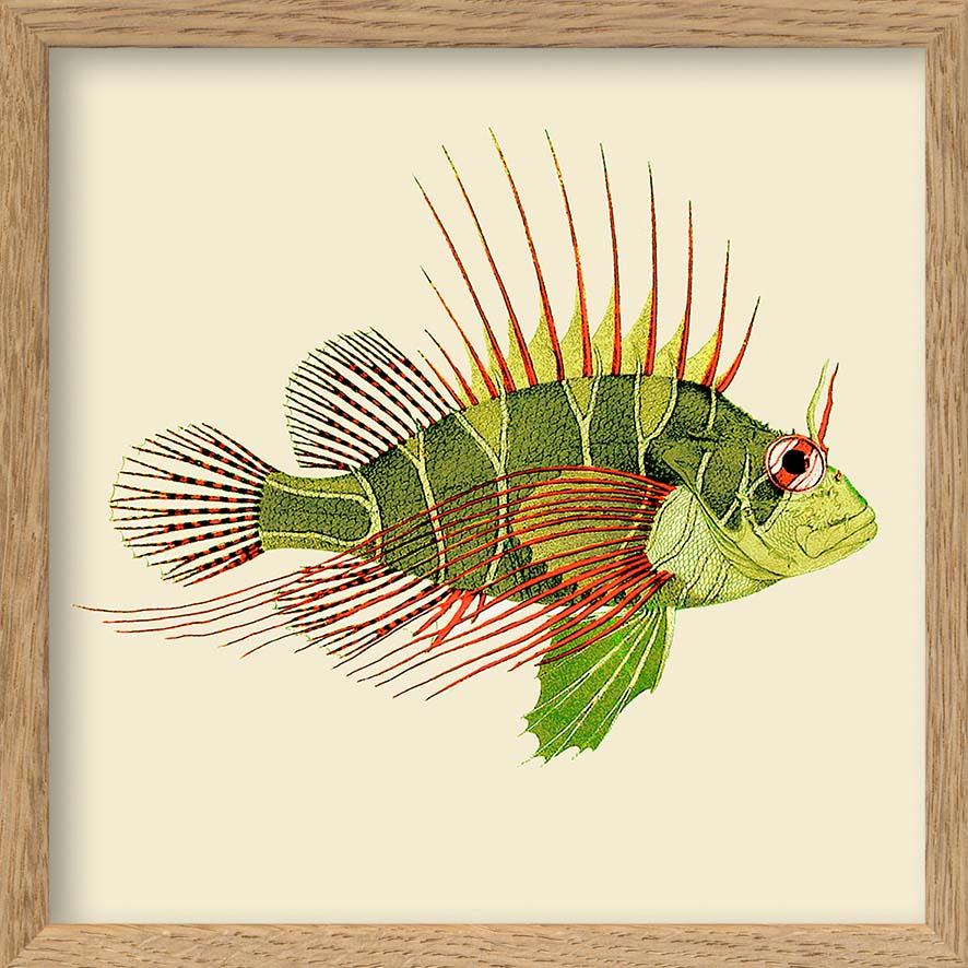 Dyb. Miniprint Green & Red Fish