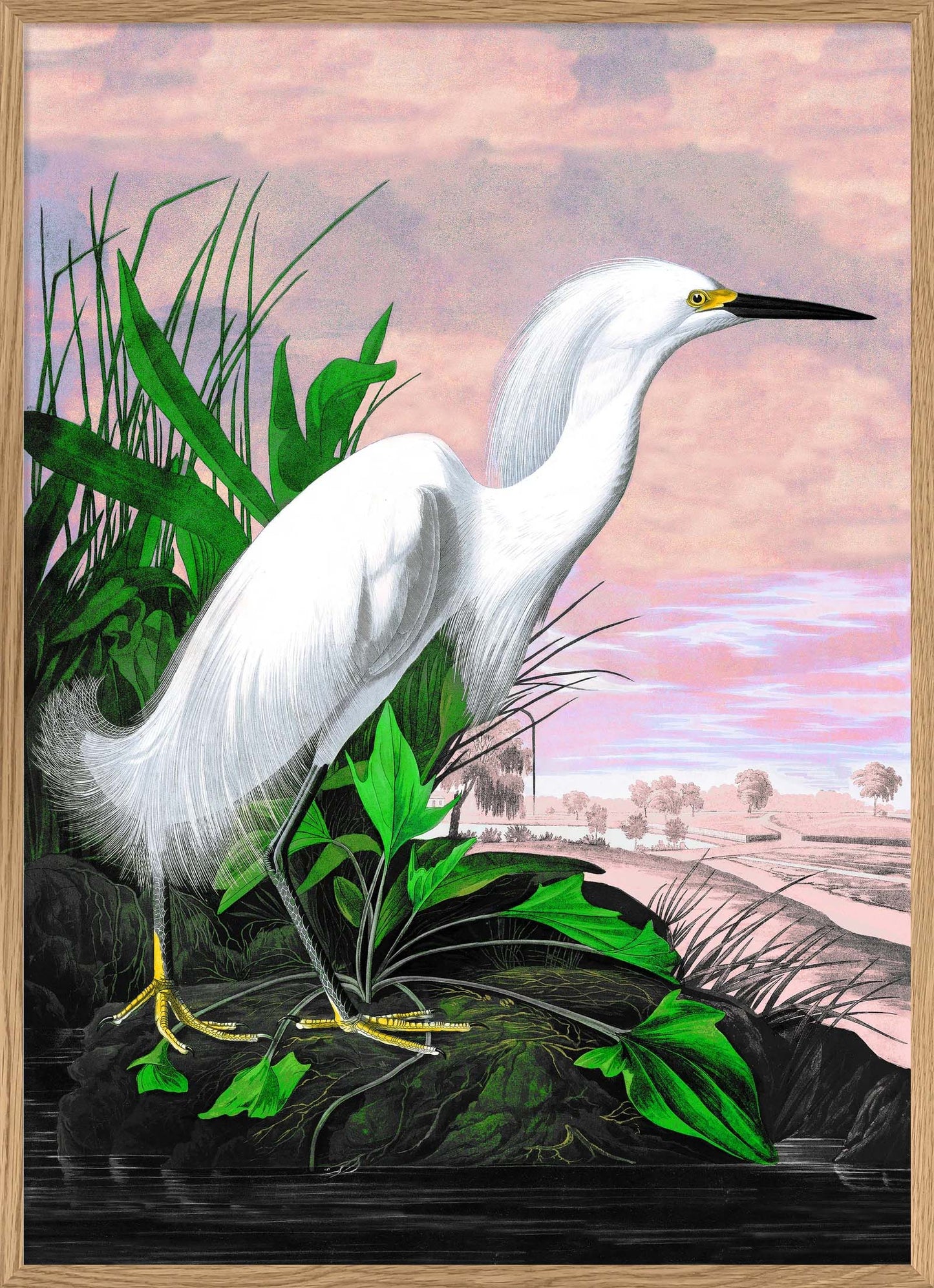 Dyb. Reiher rosa 50x70