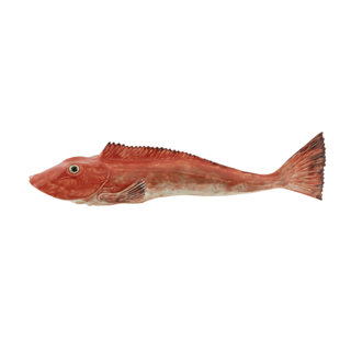 BP Wanddeko Large Tub Gurnard