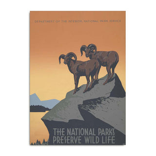 Dyb. Poster Bergziege 30 x 40