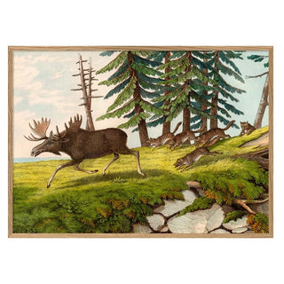 Dyb. Hirsche im Wald 70x100
