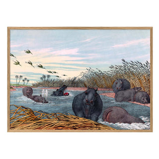 Dyb. Nilpferde im Fluß 70x100