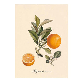 Dyb. Orange 30 x 40