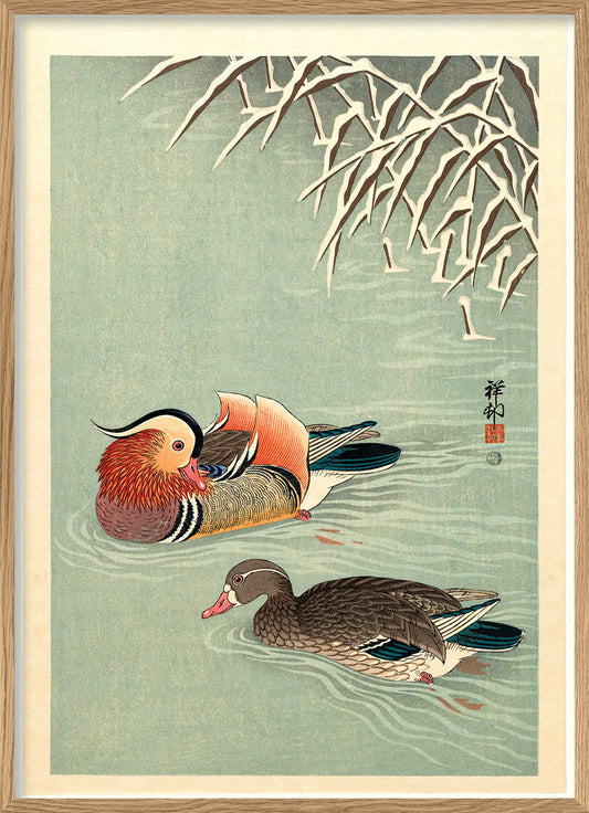 Dyb. 30x40 Mandarin ducks
