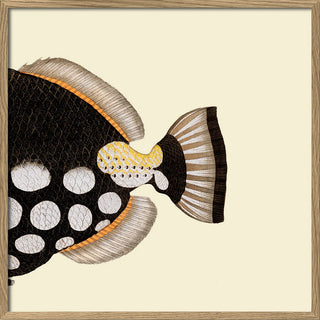 Dyb. 1/2 Schwanz Fisch Dot Galore