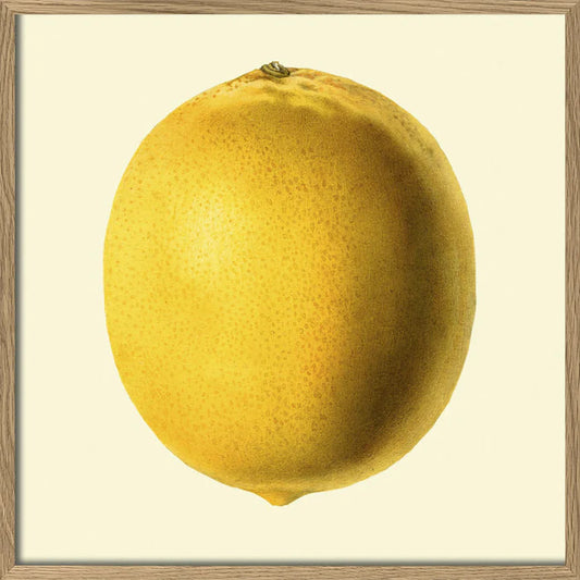 Dybdahl Zitrone 30 x 30 cm
