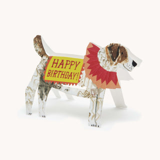 Hadley - Alles Gute zum Geburtstag, Jack Russell!