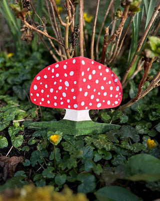 Pilzkarte von Mortlake Papers zwischen Efeu im Garten