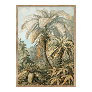 Dyb. Palme monochrom 50 x 70