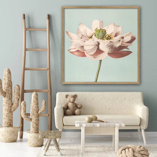 Dybdahl Lotus blüht