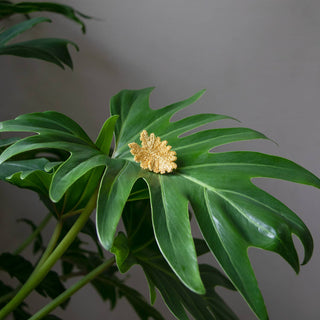 Botanopia - gifts , decor and cards for plant lovers - Goldene Broschen mit Stickerei – 3 tropische Blätter (Aroids