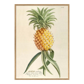 Dyb. Ananas