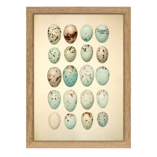 Dyb. Eier 15x21