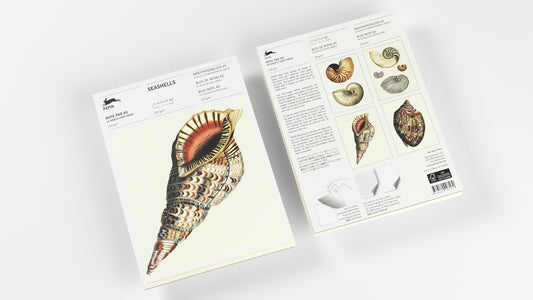 Pep. Note Pad A5 Seashells
