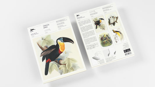 Pep. Note Pad A5 Tropical Birds