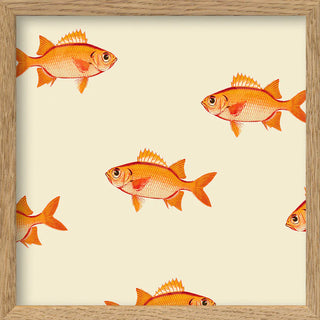 Dyb. Fisch "Small orange fish." (Mini Print)