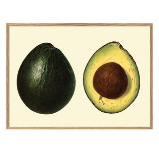 Dyb. Avocado