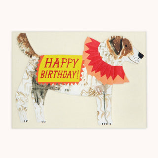 Hadley - Alles Gute zum Geburtstag, Jack Russell!