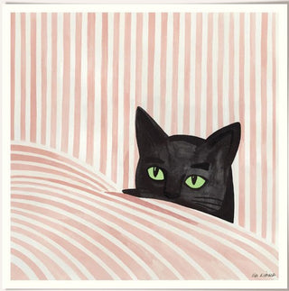 PSTR - Iga Kosicka "Black cat"
