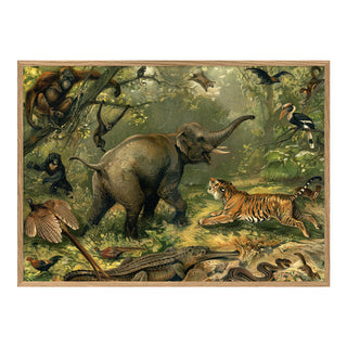 Dyb. Elefant im Urwald mit Tiger