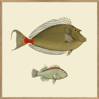 Dyb. Fisch "Two Green Fish"