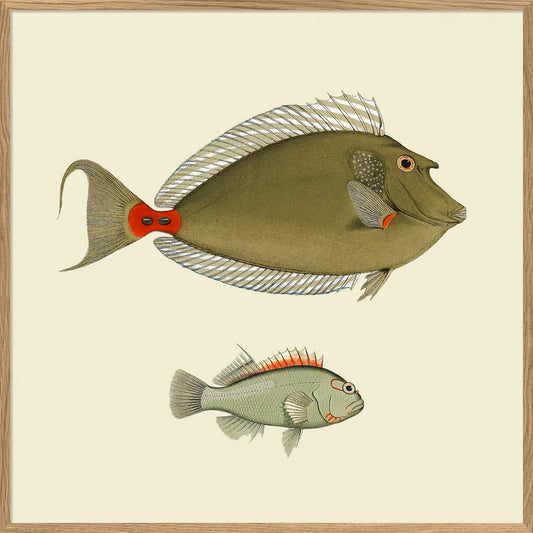 Dyb. Fisch "Two Green Fish"