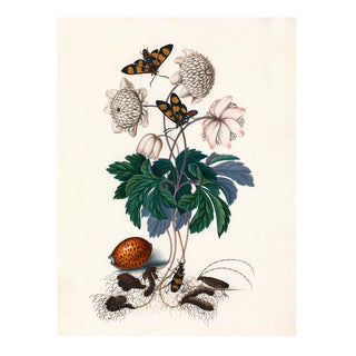 Dyb. "Greens & Two Butterflies"