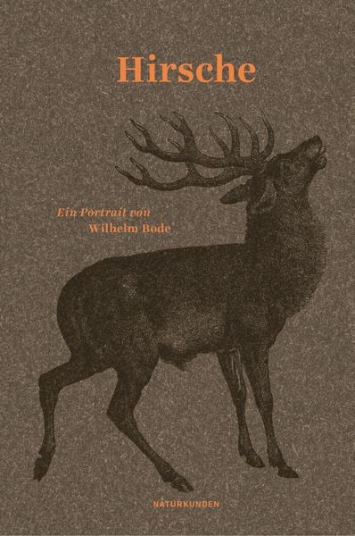 Buch "Hirsche" von Wilhelm Bode