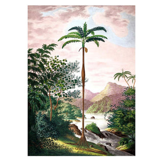 Dyb. "Jungle Scenery"