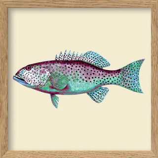 Fisch „Turquoise and Purple Fish“ von The Dybdahl Co.