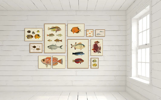 Dyb. Fisch "Small orange fish." (Mini Print)