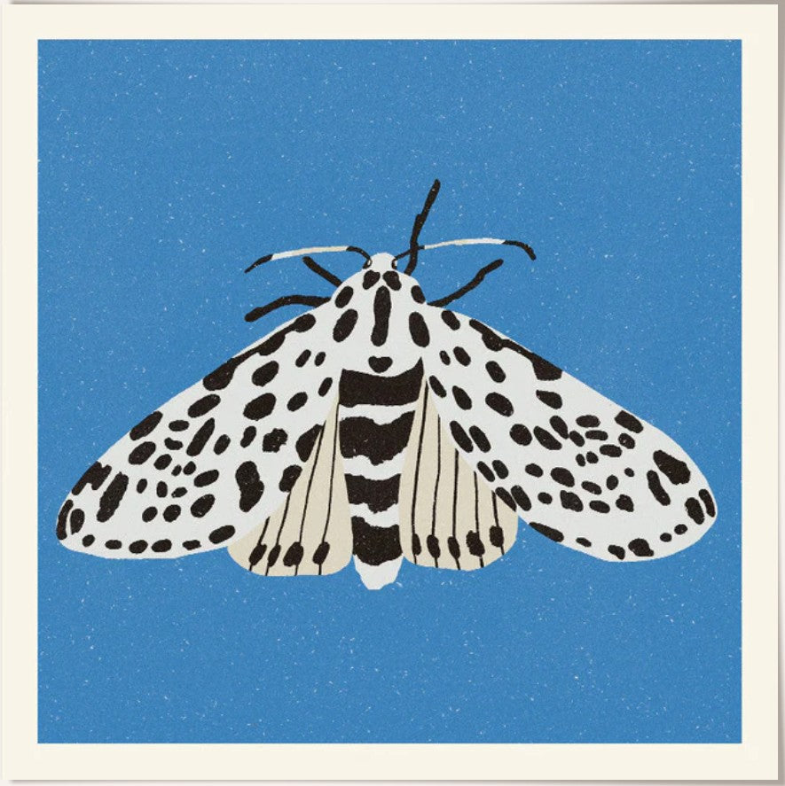 PSTR - Enikö Eged "Tiger Moth"