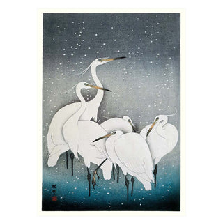 Dyb. "Snowy Herons"