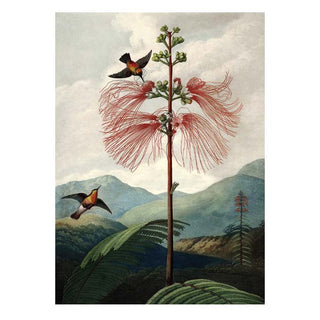 Dyb. Tree of Flowers