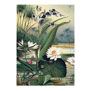 Dyb. "Water Plants Left Side"