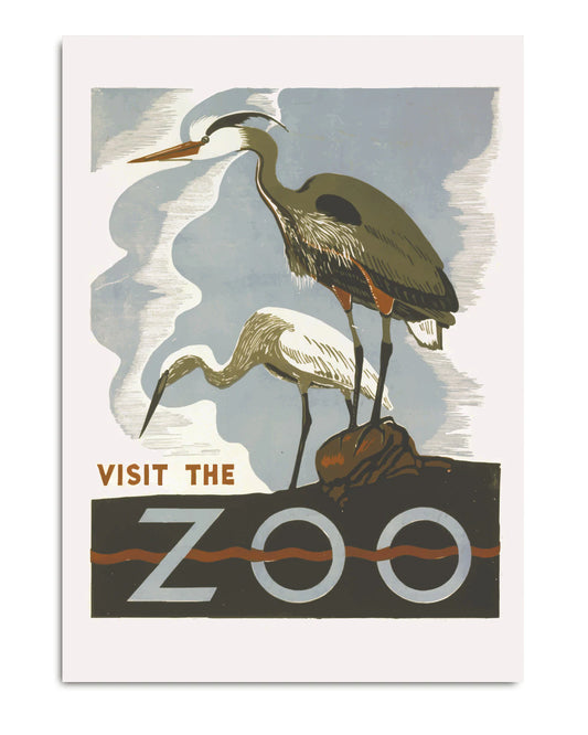 Dyb. Poster Zoo 30 x 40