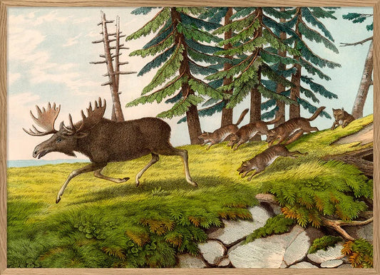 Dyb. Hirsche im Wald 70x100